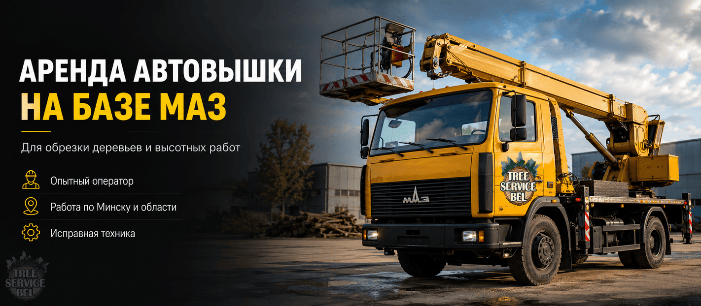 Аренда автовышки на базе МАЗ в Минске